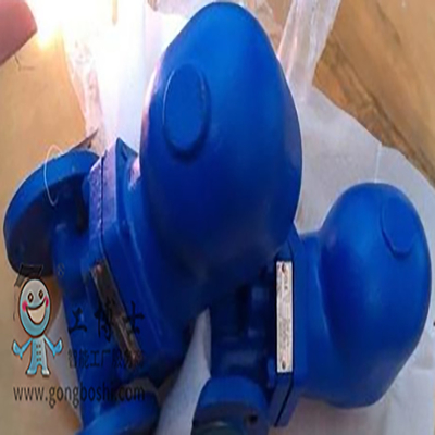 Van kiểm tra đĩa Spirax Sarco và van kiểm tra vệ sinh với bẫy bơm
