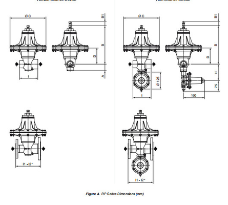 Tartarini RP Series áp suất điều chỉnh van EMERSON với Skid gắn kết gói