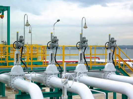 Van điện Cinese với bộ điều khiển điện Auma