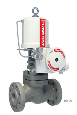 Giảm áp suất &amp; Desuperheating Station Với Flowserve Valtek VR Actuator Và 3200MD Valve Positioner