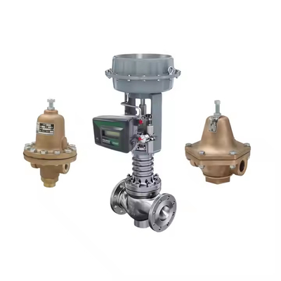 fisher DVC2000 thiết bị định vị van kỹ thuật số và 3582i thiết bị định vị với bộ lọc áp suất giảm van