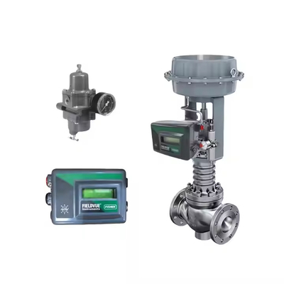 fisher DVC2000 thiết bị định vị van kỹ thuật số và 3582i thiết bị định vị với bộ lọc áp suất giảm van
