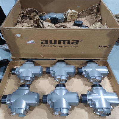 Các Flow Control Valve Skid được trang bị với Auma van actuator SQEx và SQRV phun nổ-chứng minh actuator điện