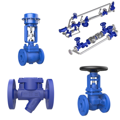 Steam Trap Station Khả năng phục hồi nhiệt Skid tùy chỉnh áp suất cân bằng Steam Trap Pressure Reducing Valve Control Valve