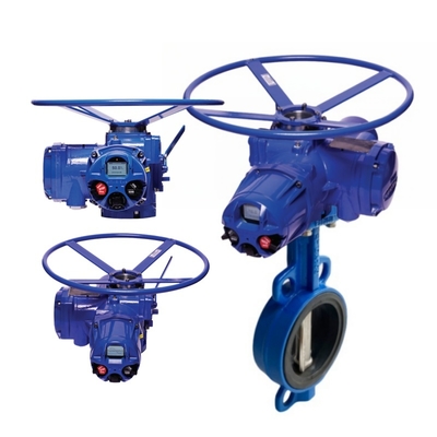 Van bướm điện Flowserve Limitorque MX Smart Bộ truyền động điện đa vòng không xâm lấn