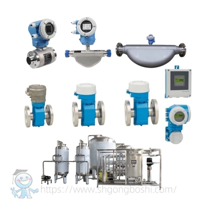 Máy đo lưu lượng vệ sinh E + H Proline Promag P 300 P 500 Endress Hauser Máy đo lưu lượng điện từ cấp thực phẩm