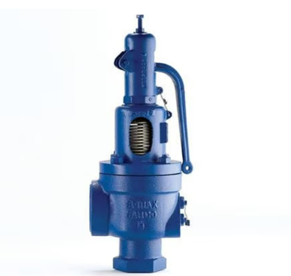 Giải pháp cuối cùng van an toàn lò khí Spiraxsarco SV607DS và Burkert Solenoid