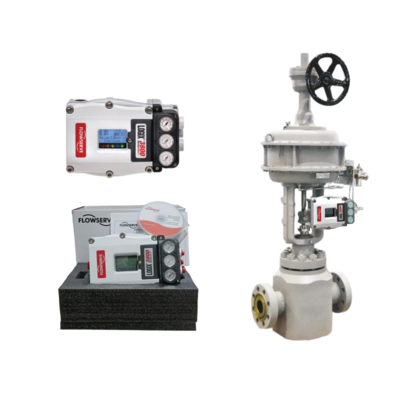 Flowserve Logix 3800 Digital Valve Positioner | Advanced Valve Automation Supplier China