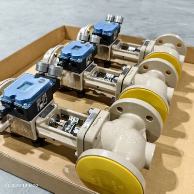 Thân van điều khiển Samson 3241, bộ truyền động khí nén 3277, bộ định vị van 3725