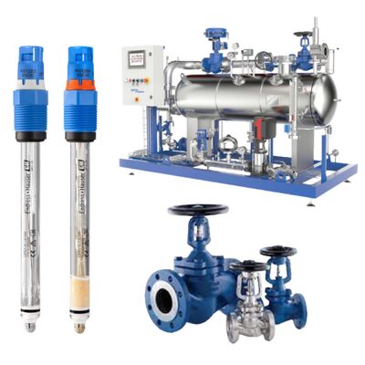 Phân tích chất lỏng đo điện thế Endress Hauser CPS11E-UR7AAA2 và Van bellows Spiraxsarco BSA2T BSA3T cho Nước và Nước thải