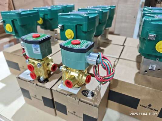 Van điều khiển Trung Quốc với bộ định vị Siemens và bộ điều chỉnh 67cfr và van điện từ Asco