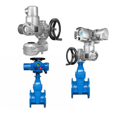 Chinese Butterfly Globe Valve Body AUMA SQ Part-turn SA Multi-turn Electric Control Valve Actuators