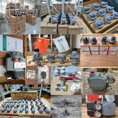 Van điều khiển khí nén Trung Quốc với SVI1000G SVI1000 PR G IM Masoneilan Valve Positioner SVY và Asco Regulator cho LPG