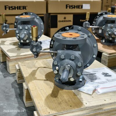Skid Mounted With Fisher Types 1098-EGR and 1098H-EGR Pressure Reducing Regulators and 63EG-98HM Regulator with Stock