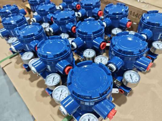 Bộ định vị van điều khiển khí nén thông minh AVP300 với van Fisher