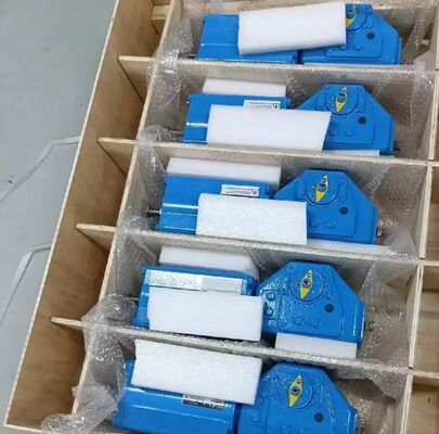Trung Quốc Valve Flowserve PMV P5 EP5 Valve Positioner F5 Switch Box và Neles B1 Pneumatic Cylinder Actuator