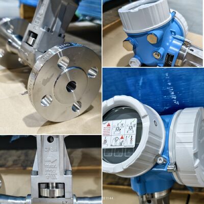 Đồng hồ đo lưu lượng khối hơi công nghiệp Endress Hauser Proline Prowirl F 200 E+H Vortex