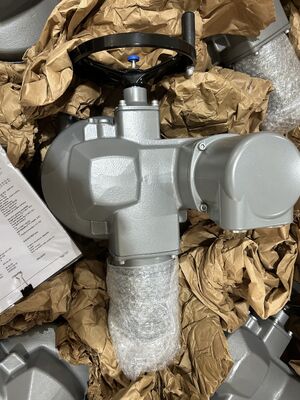 Bộ truyền động điện Auma hiệu suất cao cho công nghiệp SQ10.2-F10 SQ12.2-F12 Thay thế đa năng