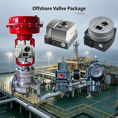 Bộ định vị van điều khiển Valmet Me-sto Neles ND9000 với Van giảm áp lọc Fisher 67CFR