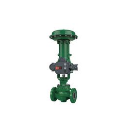 Van điều khiển khí nén Fisher ET EZ EWT với bộ điều khiển van kỹ thuật số DVC6200 DVC2000 và bộ điều chỉnh bộ lọc 67CFR 67DFR