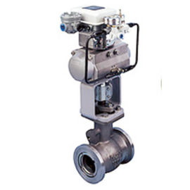 Van bi lệch tâm 210E / 220E ANSI Class 150 - 600 Xếp hạng cơ thể