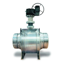 PN 16 Class 150 Trunnion Van bi Van điều khiển VW1 với Bộ định vị