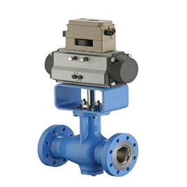 Class 150 - Van điều khiển khí nén Class 300 với Bộ định vị van kỹ thuật số SV11000