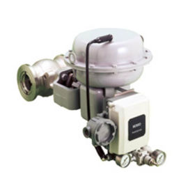 Van bi lệch tâm 210E / 220E cho van điều khiển