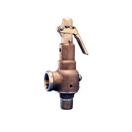 Nồi hơi hơi Van giảm áp / Van giảm áp an toàn Kết nối NPT có ren