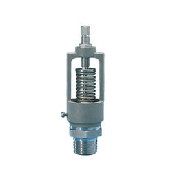 Van giảm áp chính xác cho dịch vụ hơi Kết nối NPT có ren