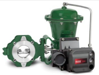 Van điều khiển Fisher easy e EZ trong các ứng dụng xử lý hóa chất hoặc hydrocacbon và vật liệu bằng thép cacbon, vết bẩn