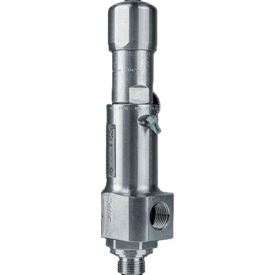 Loại hiệu suất nhỏ gọn Van an toàn áp suất 437