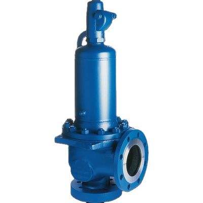 Van an toàn áp suất loại 455 cho áp lực cao với van an toàn bán vòi