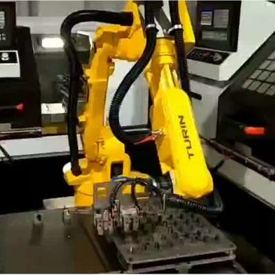Robot Trung Quốc ATOM-10KG-1378mm Cánh tay robot có thể lập trình 6 trục Robot Palletizing