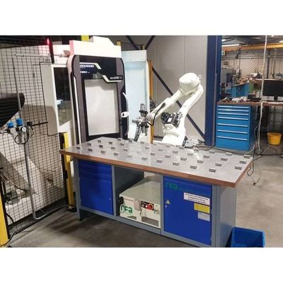 6 trục Robot Arm Palletizer RS020N cho Palletising Handling Automation như robot palletising