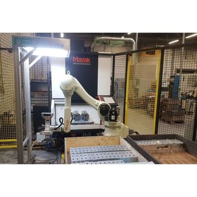 6 trục Robot Arm Palletizer RS020N cho Palletising Handling Automation như robot palletising