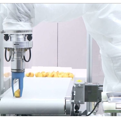 Cánh tay robot công nghiệp nhỏ 6 trục VS-050/060 với CNGBS Robot Gripper Là Robot Toàn cầu