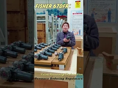 Emerson Fisher 67DFR Bộ điều khiển bộ lọc